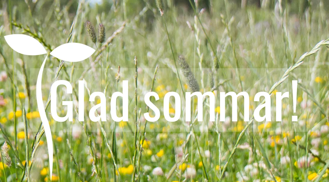 Glad sommar