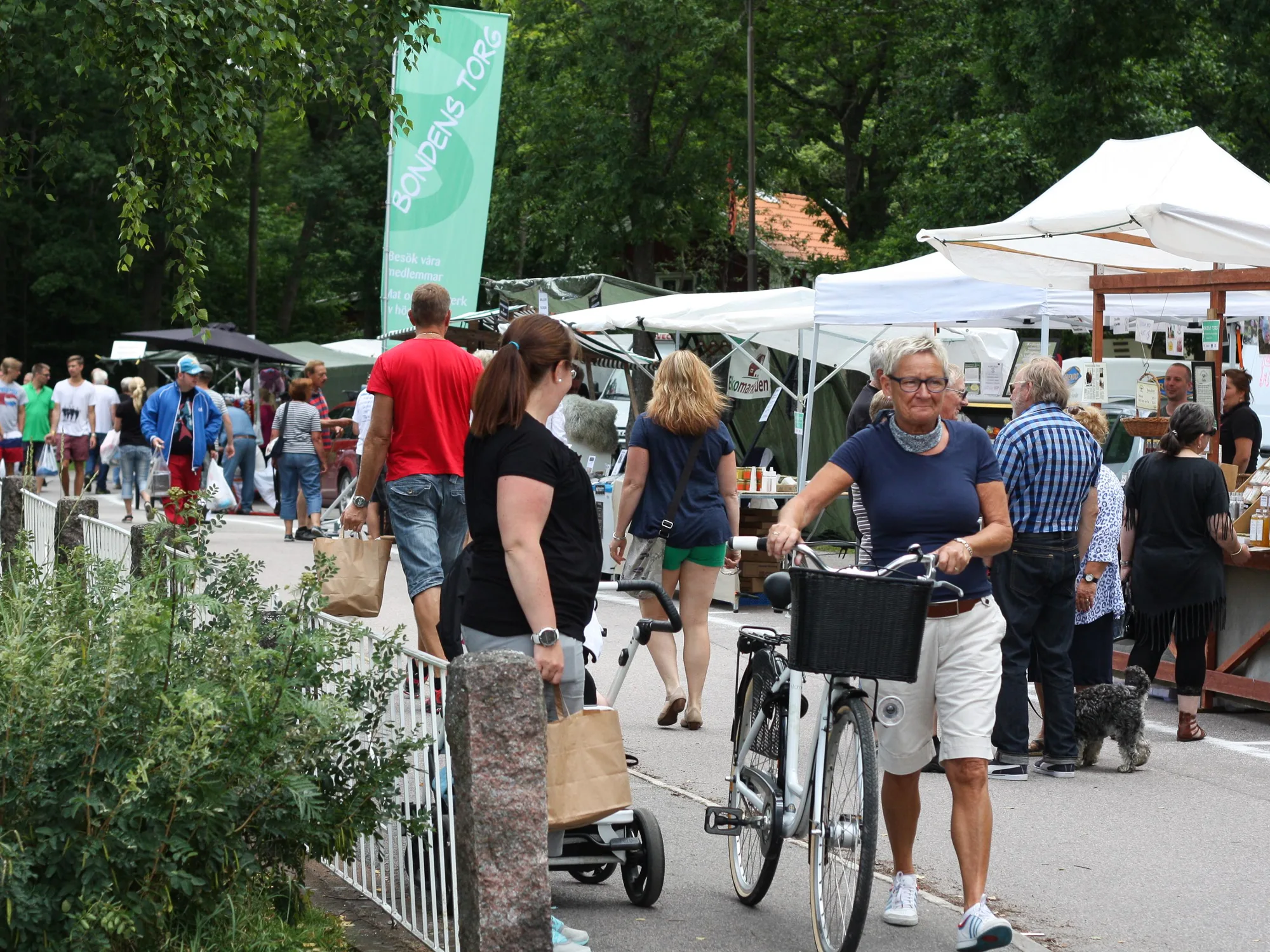 Kustlandetrapport2015-12