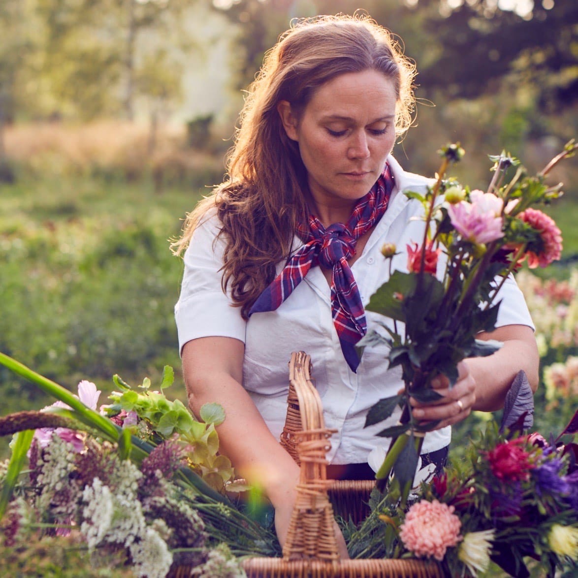 Bild på Julia Lindhag som plockar blommor